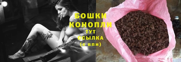 шишки Алексеевка