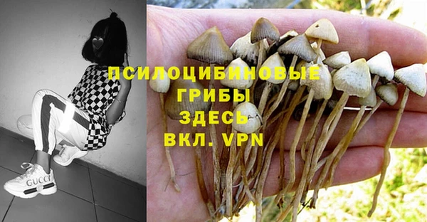 шишки Алексеевка