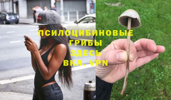 бошки Алексин