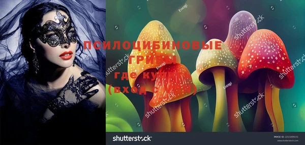 шишки Алексеевка