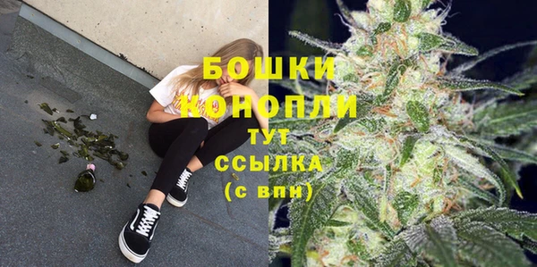 бошки Алексин