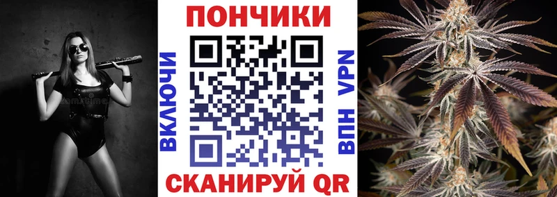Бошки марихуана OG Kush Новая Ладога